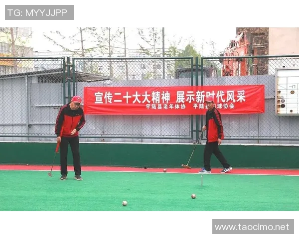 北京网球队的运营模式与发展策略深度分析与探讨